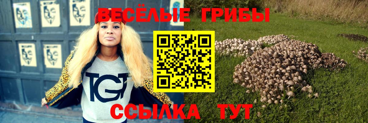 Галлюциногенные грибы Psilocybe  Вход с VPN  Всеволожск 